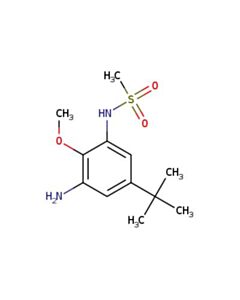 Astatech N-(3-AMINO-5-(TERT-BUTYL)-2-METHOXYPHENYL)METHANESULFONAMIDE; 1G; Purity 95%; MDL-MFCD26960654